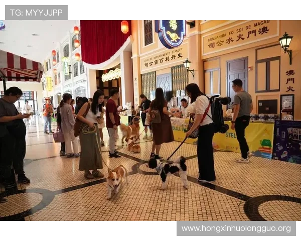 澳门葡京人：澳门博彩行业中葡京人群体的职业发展与未来展望