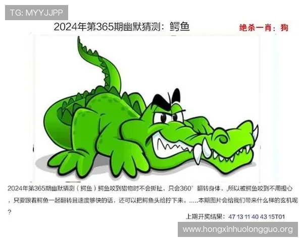 澳门彩网站最新开奖信息实时更新让你不错过每一次中奖机会