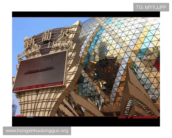 澳门新葡京445 VIP客户服务全攻略，解决你的疑问让尊享体验更加顺畅