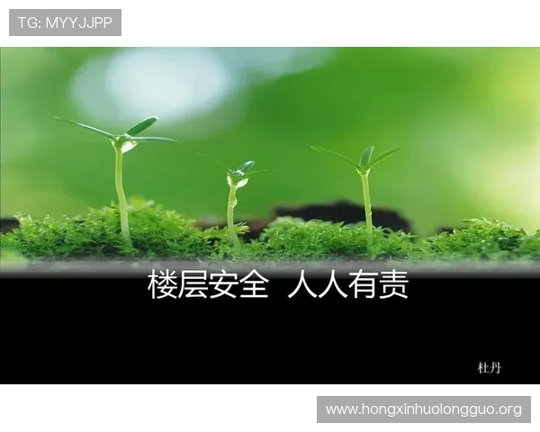 葡京官网app安全保障措施，确保您的个人信息与资金安全无忧